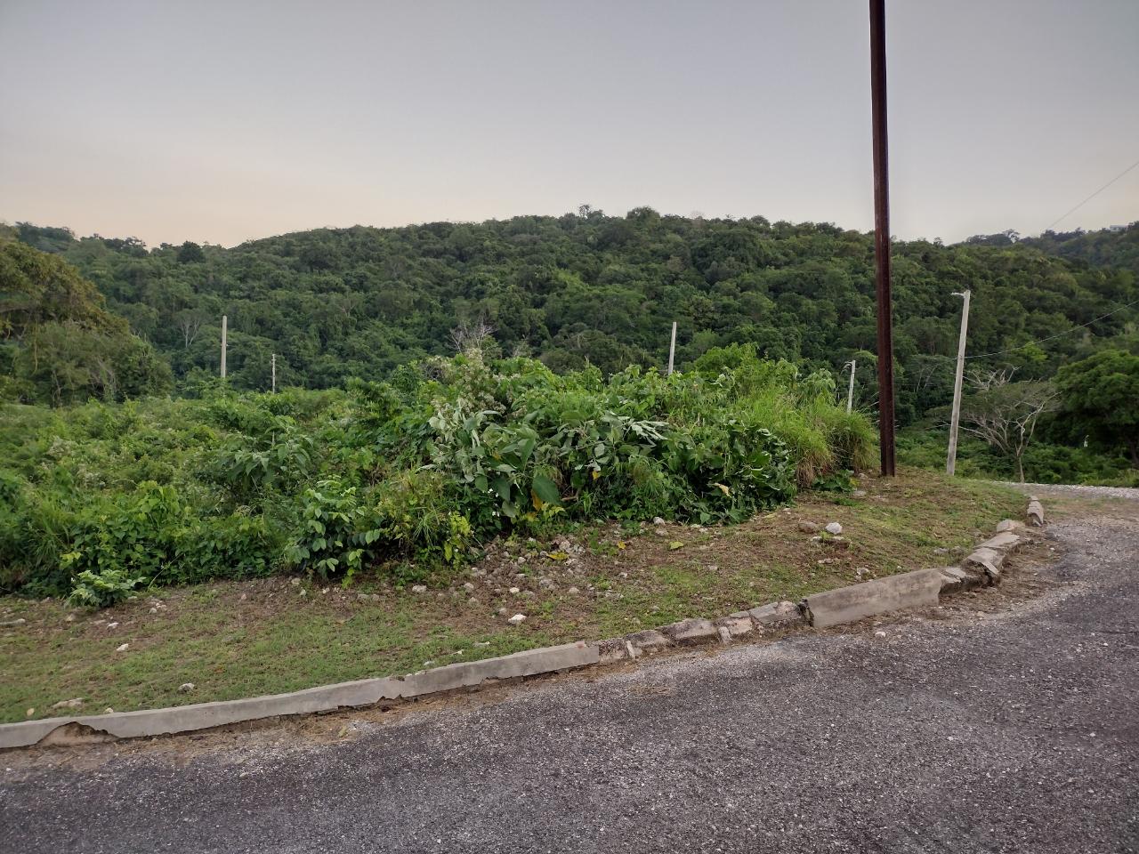 Twelfth image of Lot 367 Tamarind Ridge in Duncans, Trelawny, Jamaica - property is For Sale