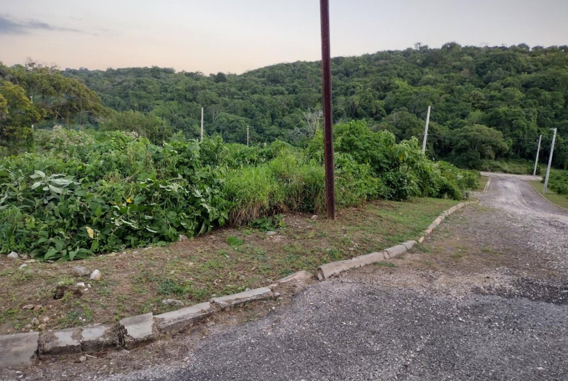 Thirteenth image of Lot 367 Tamarind Ridge in Duncans, Trelawny, Jamaica - property is For Sale