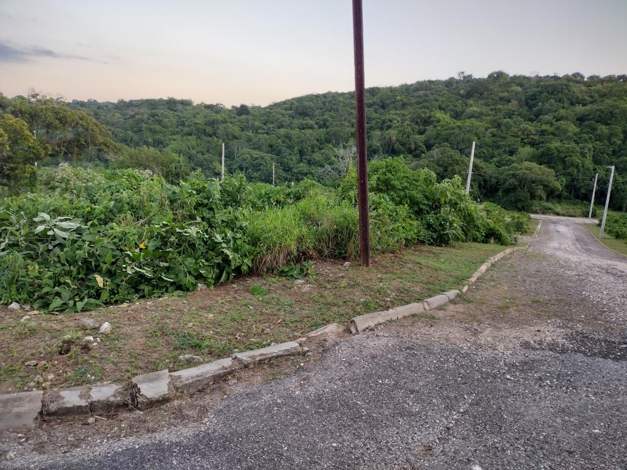 Thirteenth image of Lot 367 Tamarind Ridge in Duncans, Trelawny, Jamaica - property is For Sale