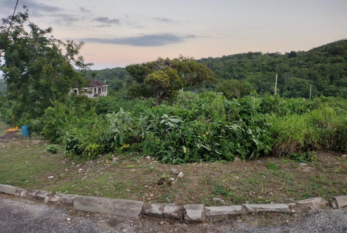 Fifteenth image of Lot 367 Tamarind Ridge in Duncans, Trelawny, Jamaica - property is For Sale