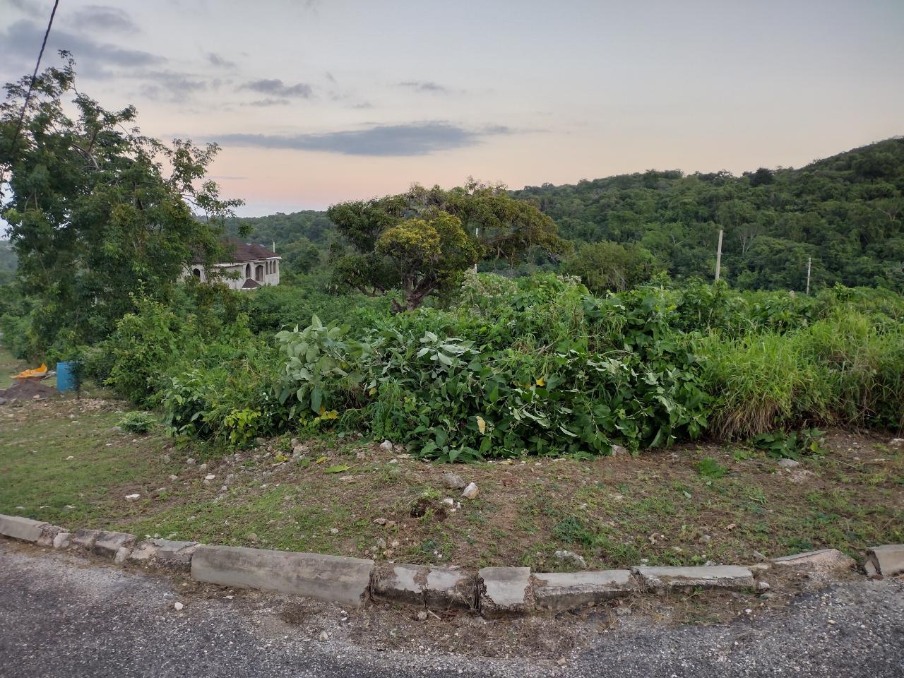 Fifteenth image of Lot 367 Tamarind Ridge in Duncans, Trelawny, Jamaica - property is For Sale