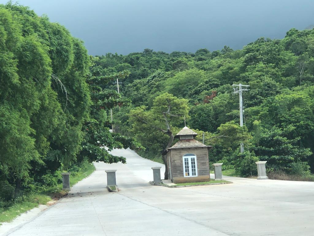 Third image of Lot 367 Tamarind Ridge in Duncans, Trelawny, Jamaica - property is For Sale