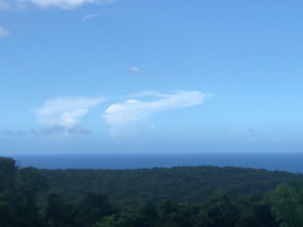 Fifth image of Lot 367 Tamarind Ridge in Duncans, Trelawny, Jamaica - property is For Sale