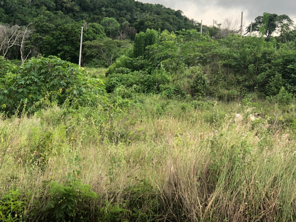 Seventh image of Lot 367 Tamarind Ridge in Duncans, Trelawny, Jamaica - property is For Sale