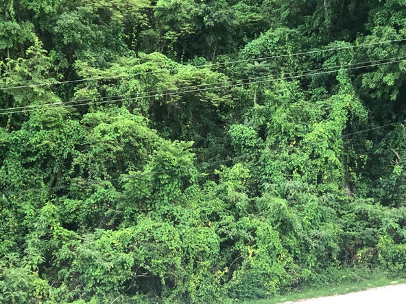 Eighth image of Lot 367 Tamarind Ridge in Duncans, Trelawny, Jamaica - property is For Sale