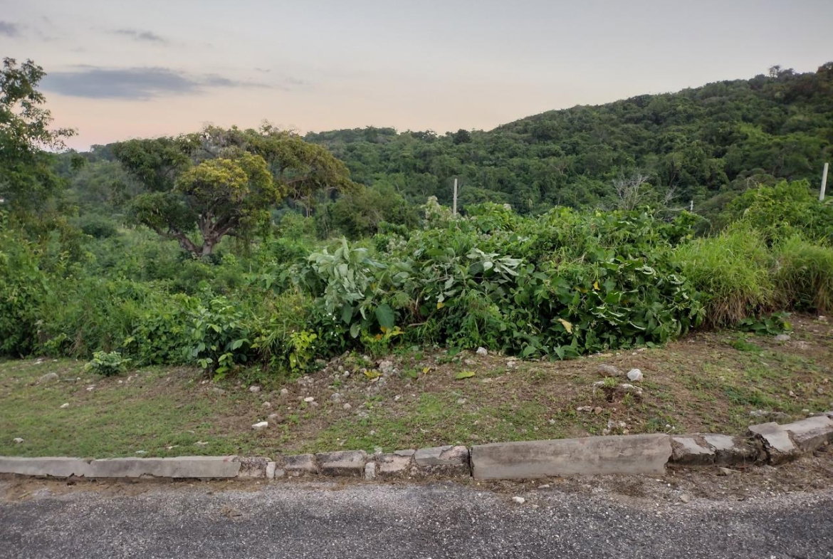 Ninth image of Lot 367 Tamarind Ridge in Duncans, Trelawny, Jamaica - property is For Sale