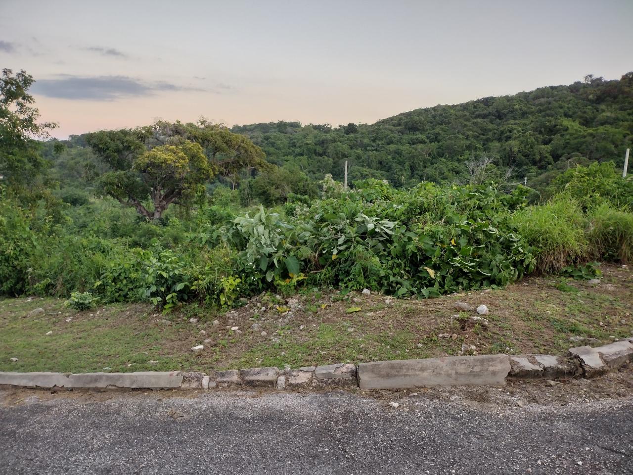 Ninth image of Lot 367 Tamarind Ridge in Duncans, Trelawny, Jamaica - property is For Sale