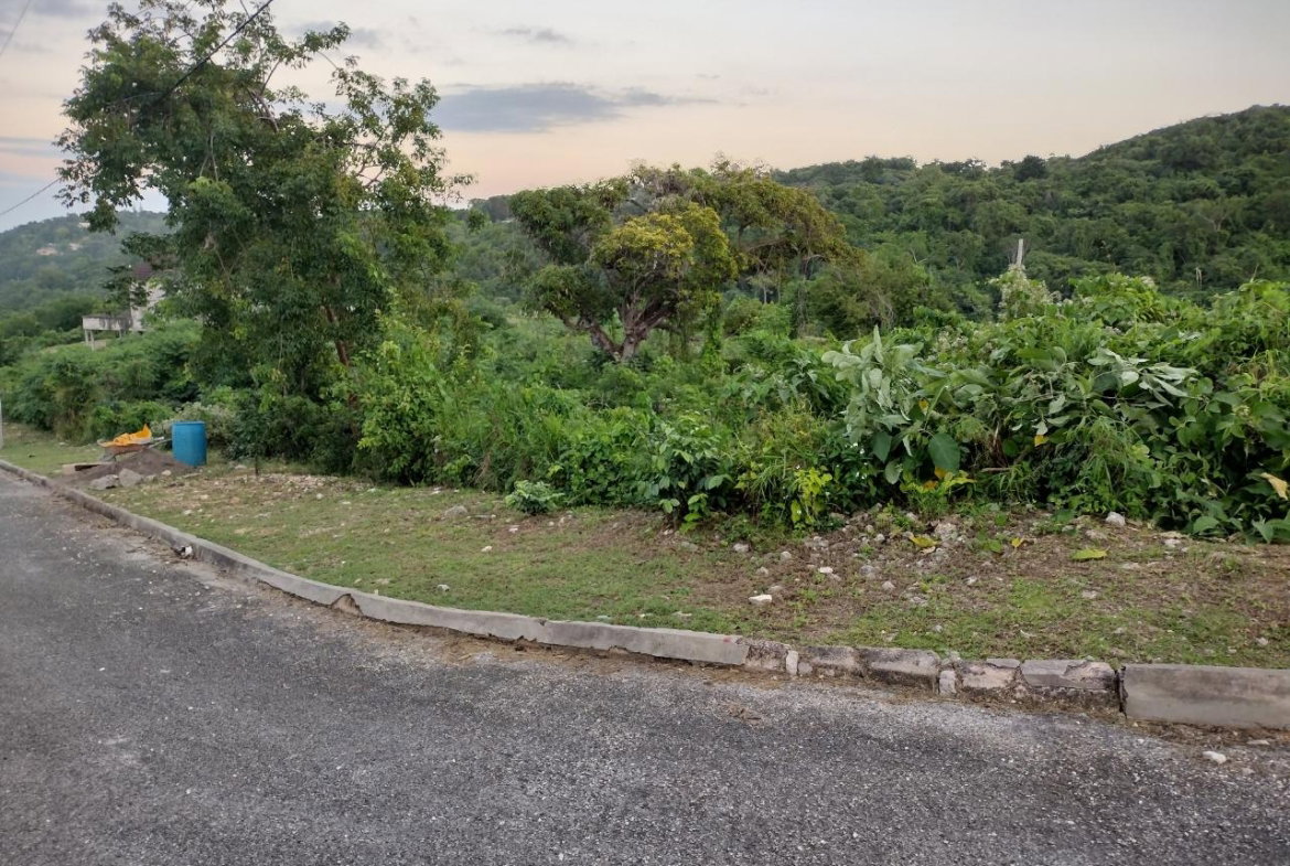 Tenth image of Lot 367 Tamarind Ridge in Duncans, Trelawny, Jamaica - property is For Sale