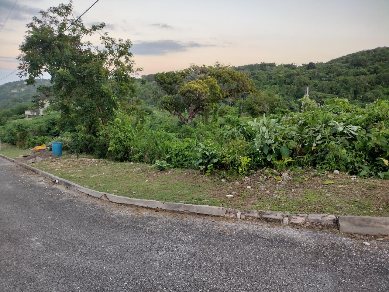 Tenth image of Lot 367 Tamarind Ridge in Duncans, Trelawny, Jamaica - property is For Sale