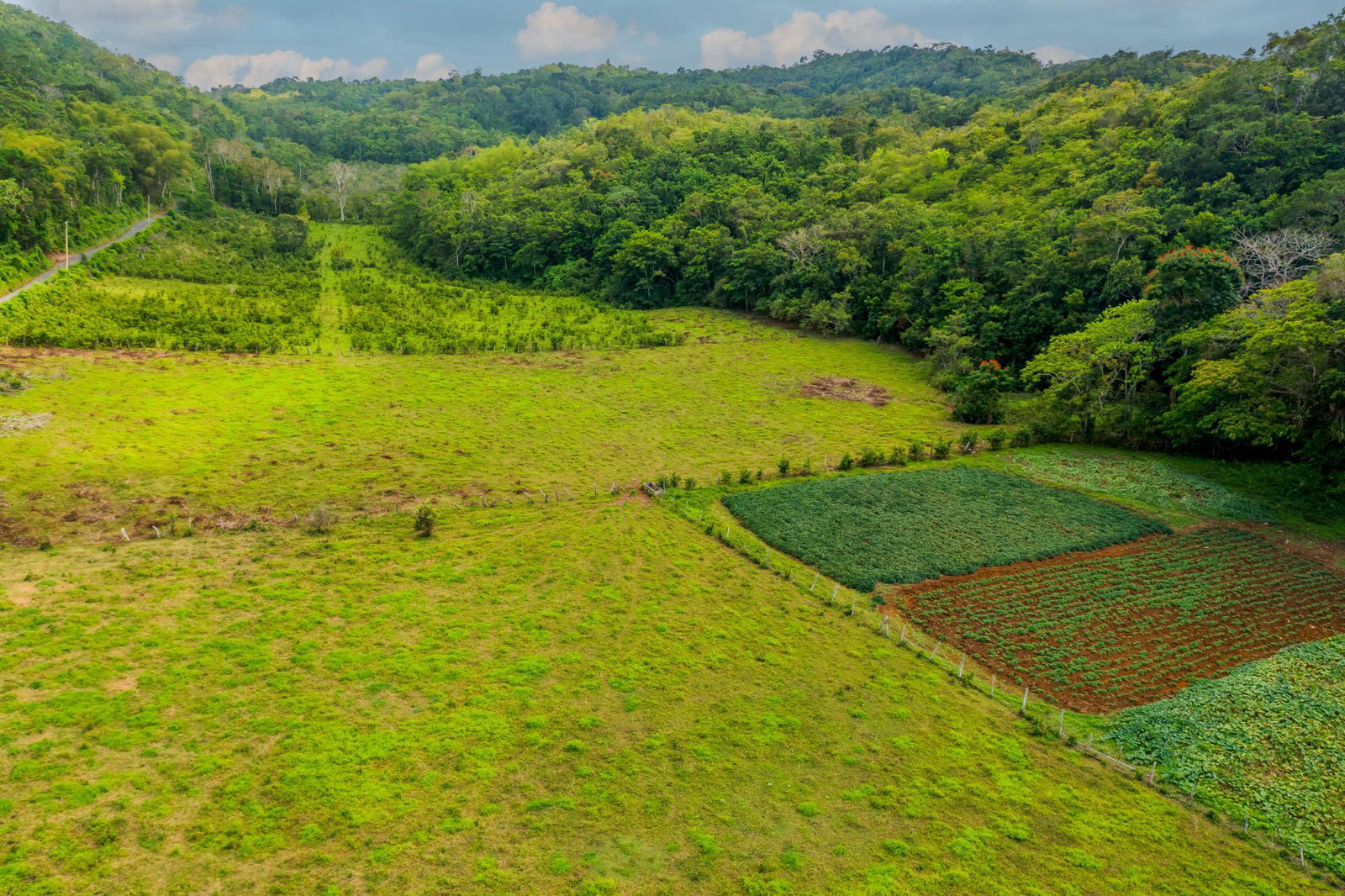 Twenty-Sixth image of The Cedars Estate in Labyrinth, St. Mary, Jamaica - property is For Sale