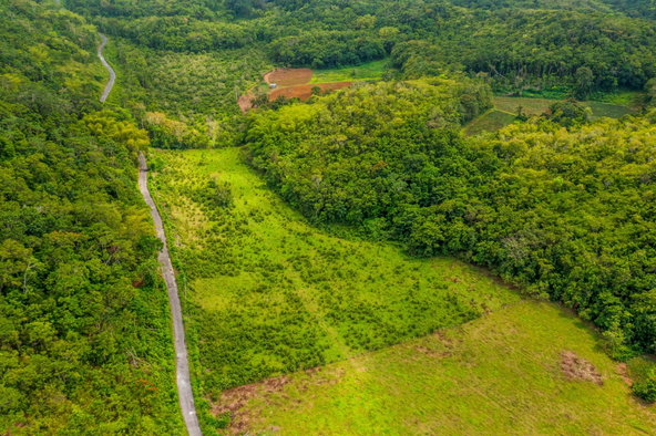 Twenty-Seventh image of The Cedars Estate in Labyrinth, St. Mary, Jamaica - property is For Sale