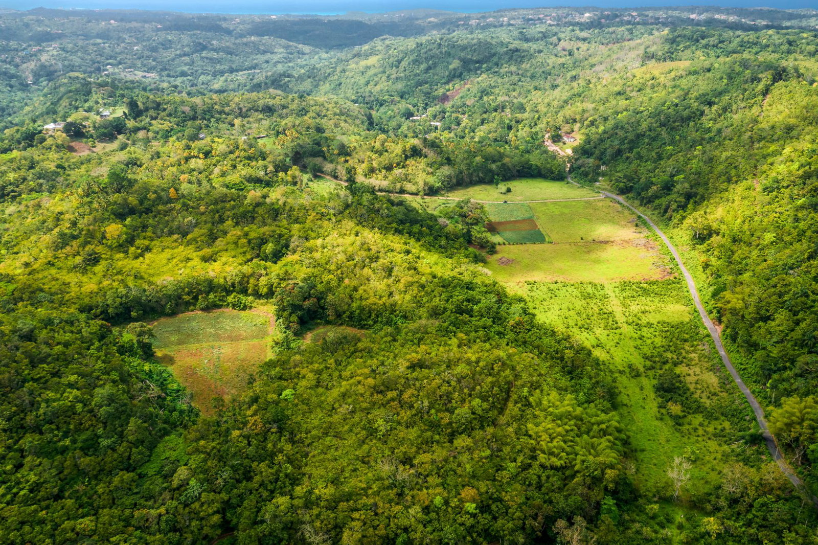 Twenty-Eighth image of The Cedars Estate in Labyrinth, St. Mary, Jamaica - property is For Sale