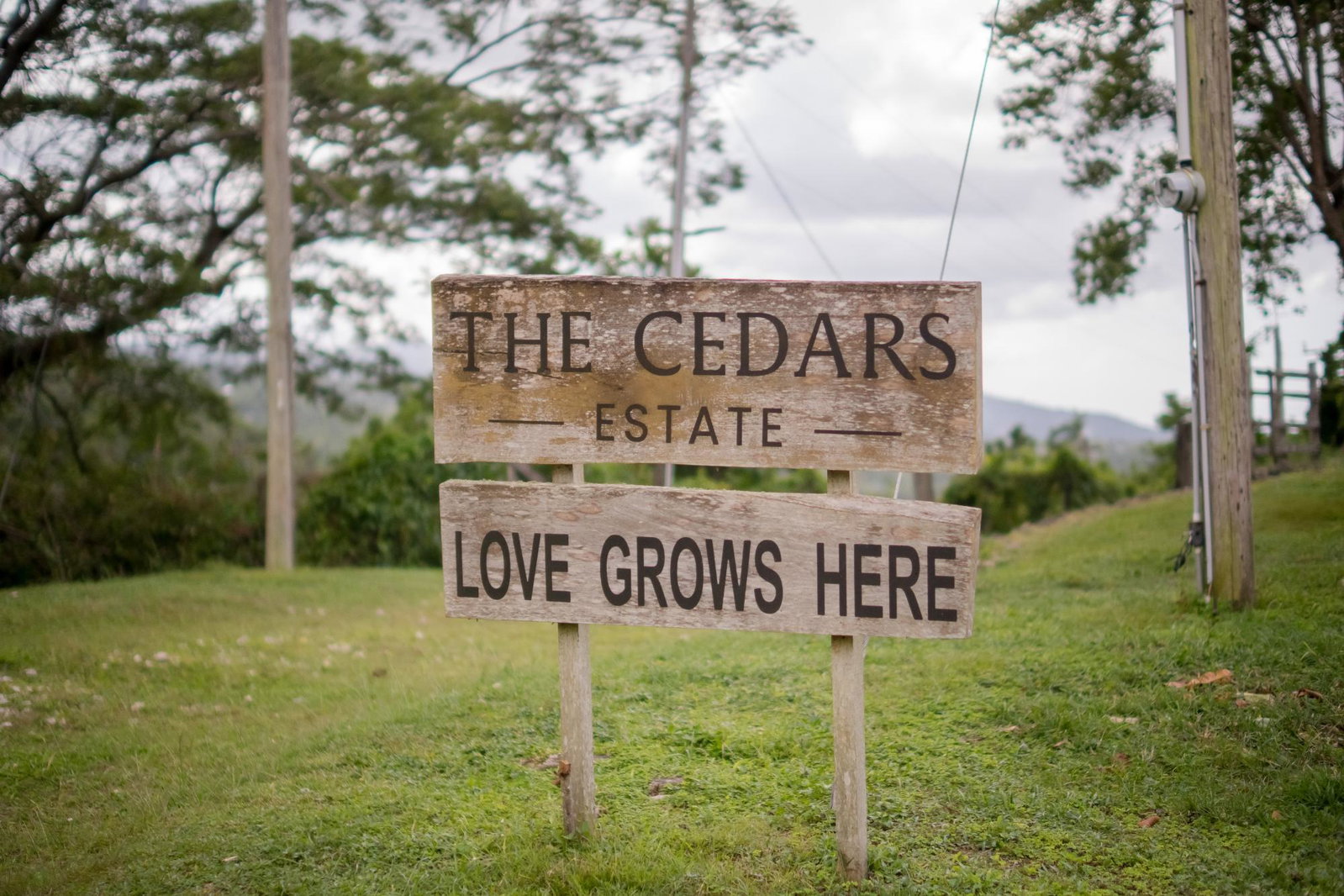 Twenty-Ninth image of The Cedars Estate in Labyrinth, St. Mary, Jamaica - property is For Sale