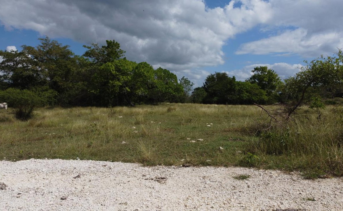 Twelfth image of Crawford in Black River, St. Elizabeth, Jamaica - property is For Sale