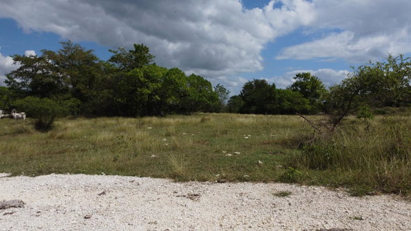Twelfth image of Crawford in Black River, St. Elizabeth, Jamaica - property is For Sale