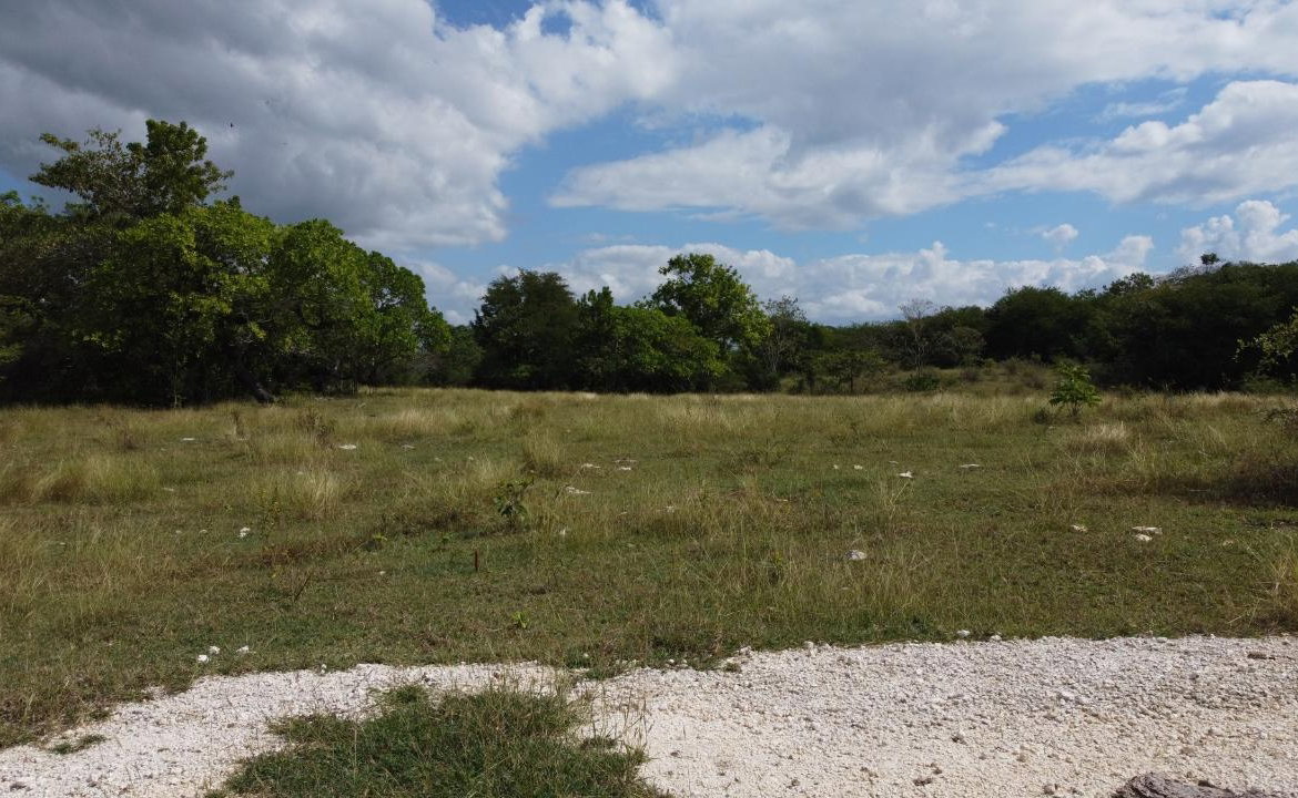 Thirteenth image of Crawford in Black River, St. Elizabeth, Jamaica - property is For Sale