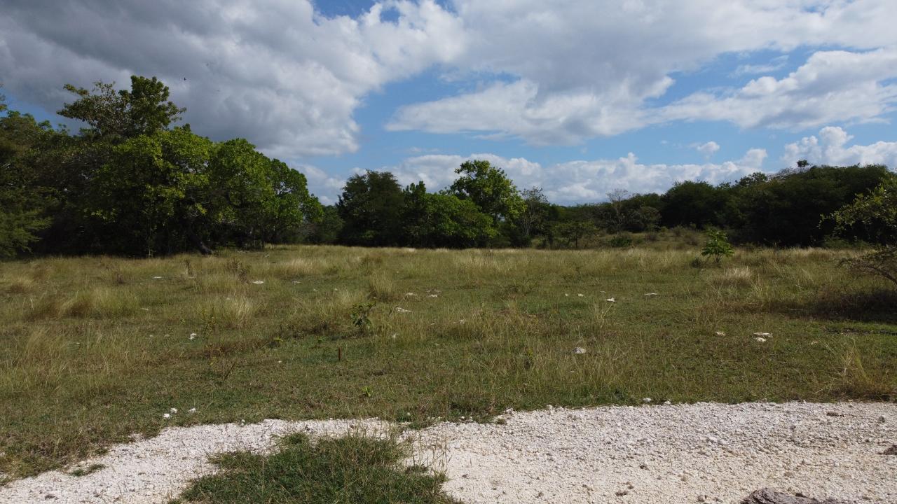 Thirteenth image of Crawford in Black River, St. Elizabeth, Jamaica - property is For Sale