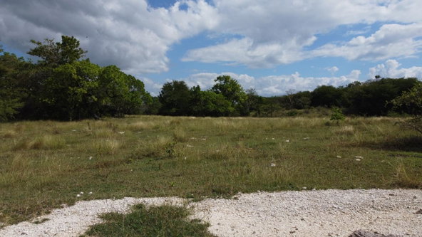 Thirteenth image of Crawford in Black River, St. Elizabeth, Jamaica - property is For Sale