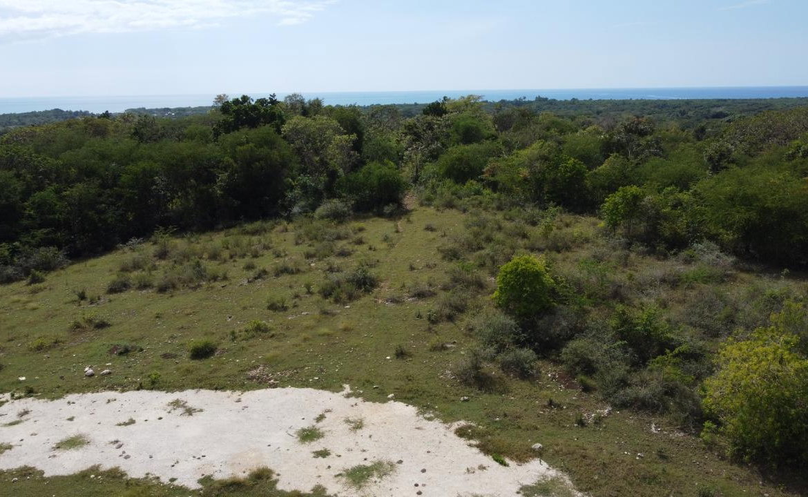 Fourteenth image of Crawford in Black River, St. Elizabeth, Jamaica - property is For Sale