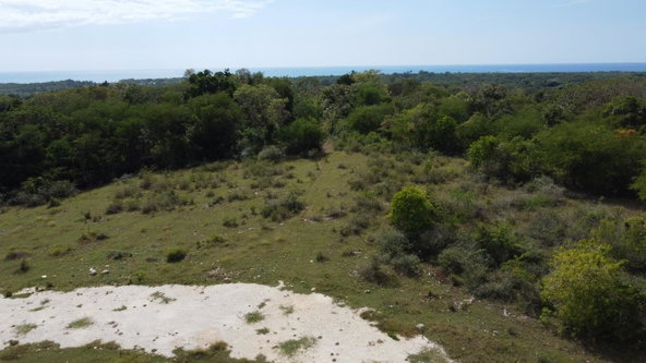 Fourteenth image of Crawford in Black River, St. Elizabeth, Jamaica - property is For Sale