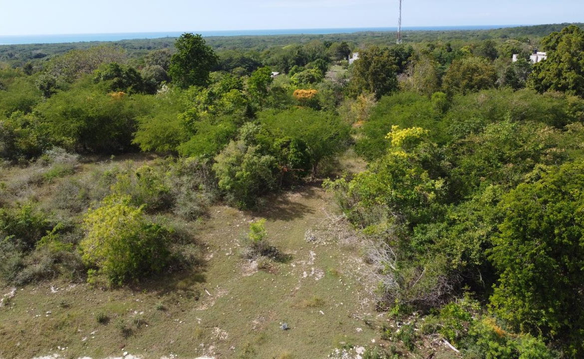 Fifteenth image of Crawford in Black River, St. Elizabeth, Jamaica - property is For Sale