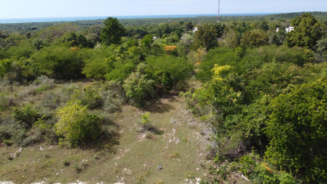 Fifteenth image of Crawford in Black River, St. Elizabeth, Jamaica - property is For Sale