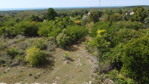 Fifteenth image of Crawford in Black River, St. Elizabeth, Jamaica - property is For Sale