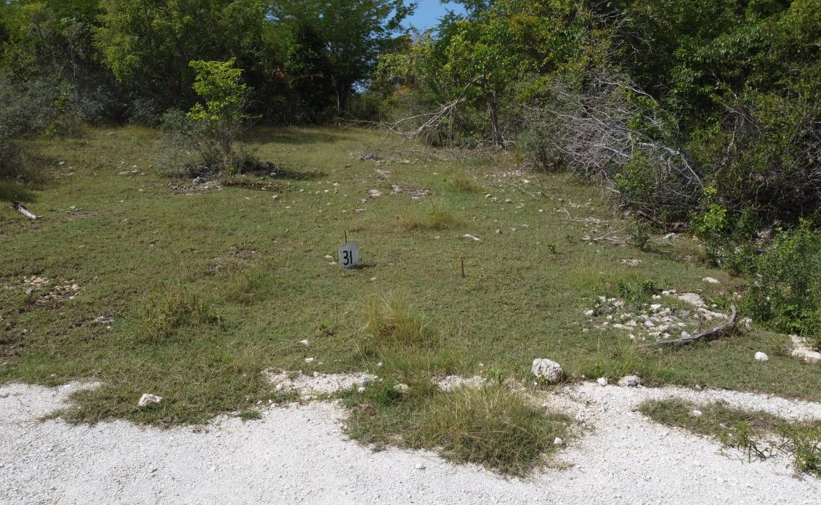 Tenth image of Crawford in Black River, St. Elizabeth, Jamaica - property is For Sale