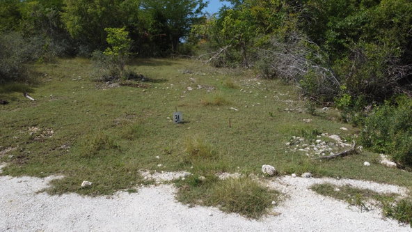 Tenth image of Crawford in Black River, St. Elizabeth, Jamaica - property is For Sale