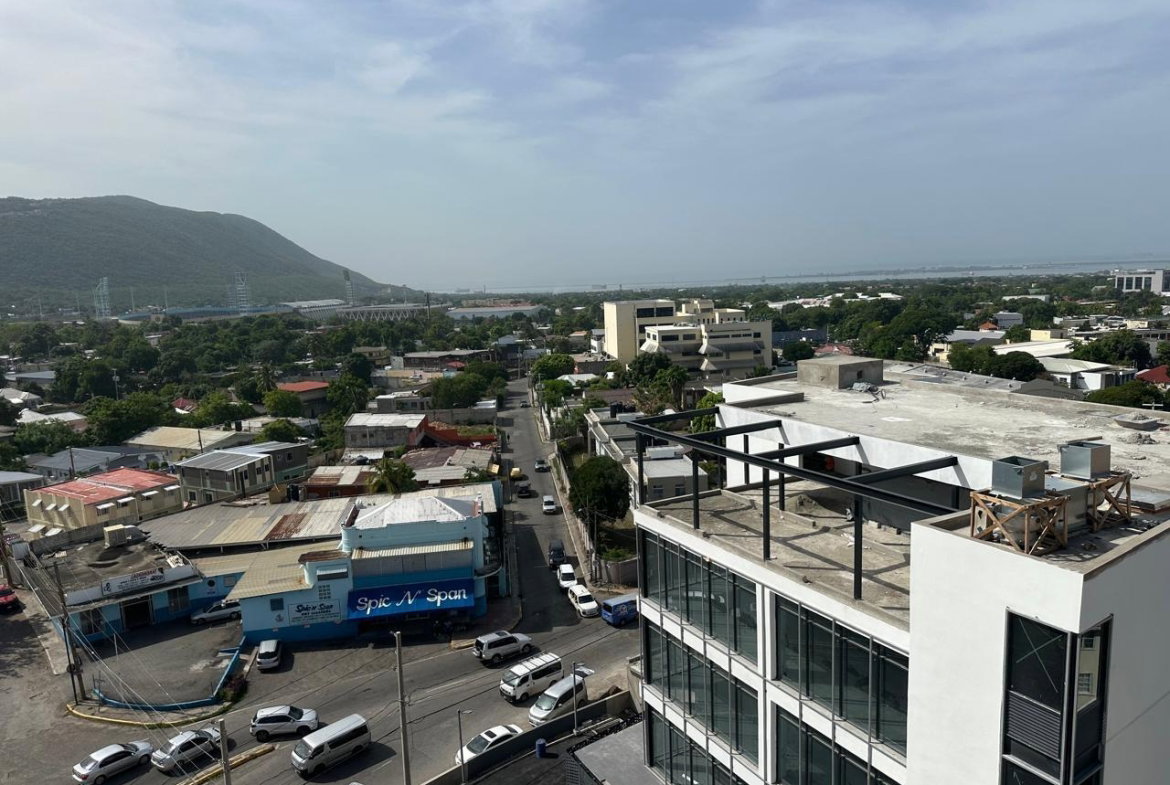 Ninth image of 1,2,3-1 Trafalgar Road, Kingston in Kingston 5, St. Andrew, Jamaica - property is For Rent