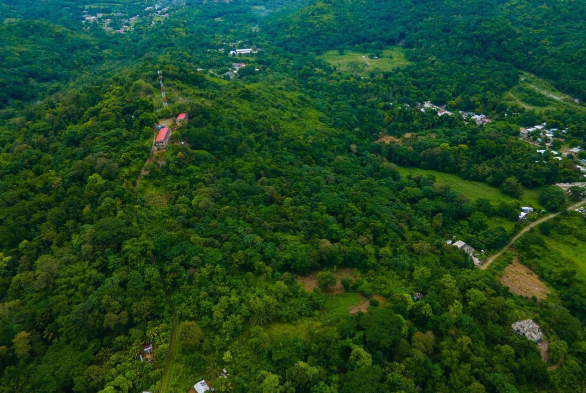 Fourth image of Enfield Fort Stewart, St. Mary in Enfield, St. Mary, Jamaica - property is For Sale