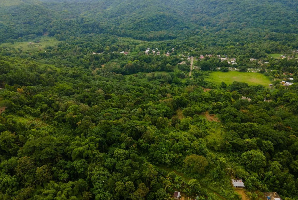 Sixth image of Enfield Fort Stewart, St. Mary in Enfield, St. Mary, Jamaica - property is For Sale