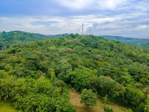 Seventh image of Enfield Fort Stewart, St. Mary in Enfield, St. Mary, Jamaica - property is For Sale