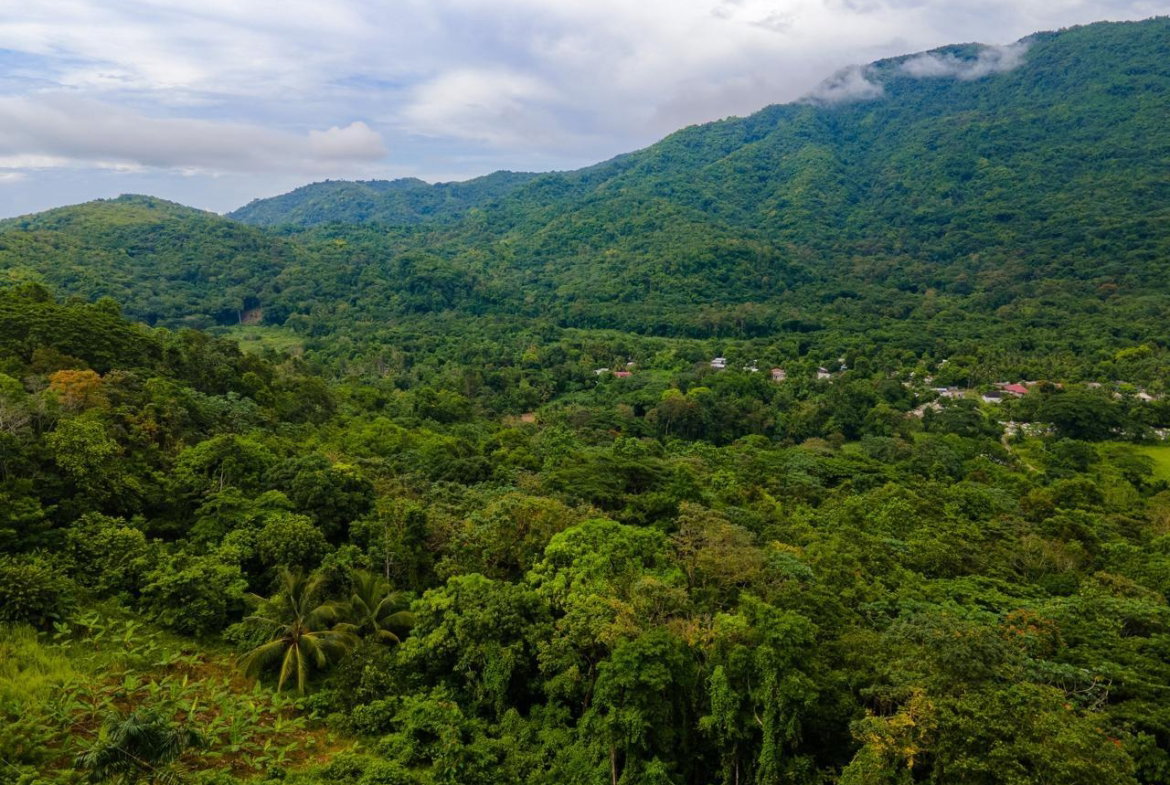 Eighth image of Enfield Fort Stewart, St. Mary in Enfield, St. Mary, Jamaica - property is For Sale