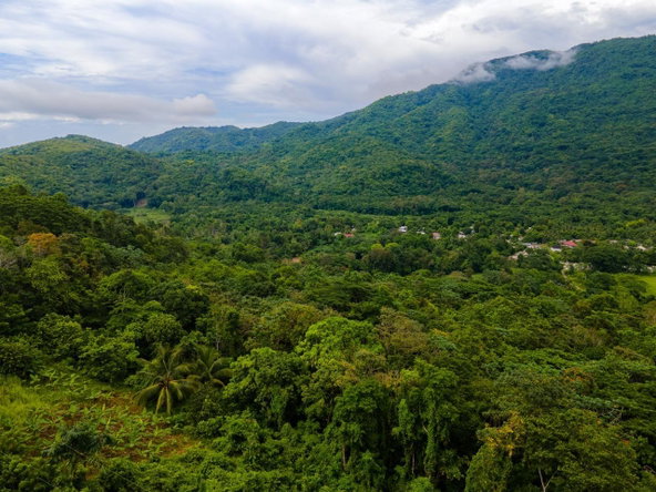 Eighth image of Enfield Fort Stewart, St. Mary in Enfield, St. Mary, Jamaica - property is For Sale