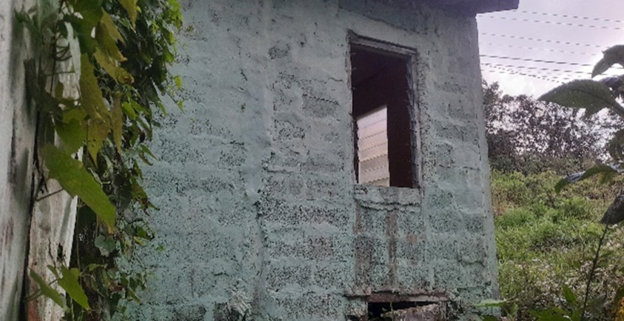 Third image of Part of Struan Castle Chr in Christiana, Manchester, Jamaica - property is For Sale