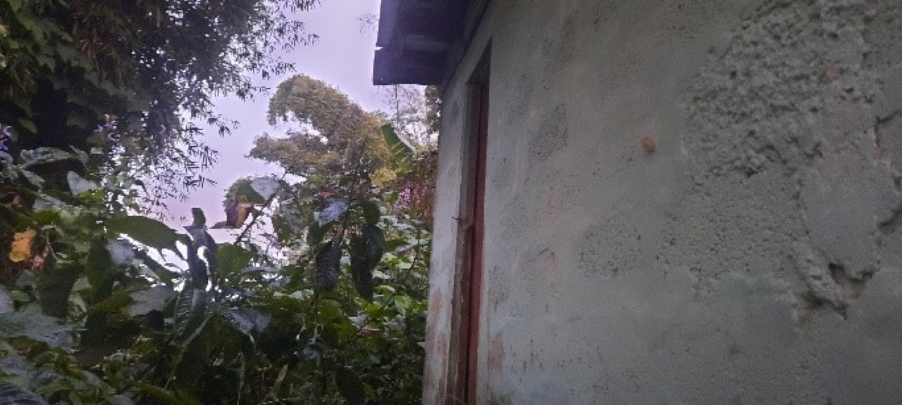 Fourth image of Part of Struan Castle Chr in Christiana, Manchester, Jamaica - property is For Sale