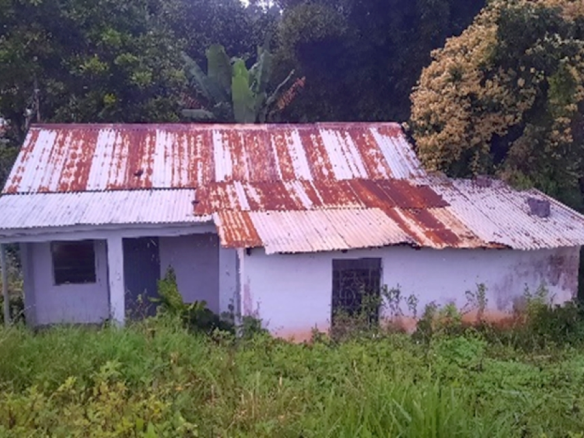 First image of Part of Struan Castle Chr in Christiana, Manchester, Jamaica - property is For Sale