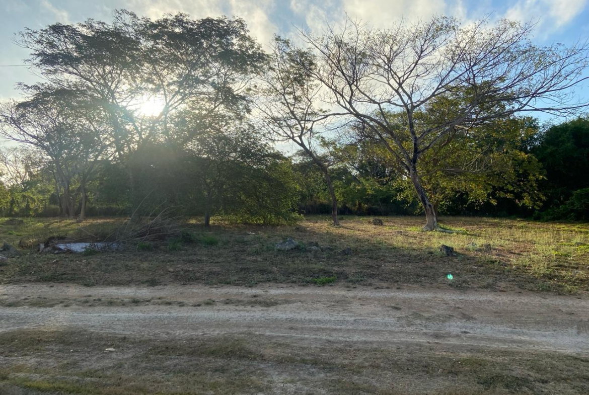 Second image of Lot 195 Keble Way in DUNCAN BAY, Trelawny, Jamaica - property is For Sale