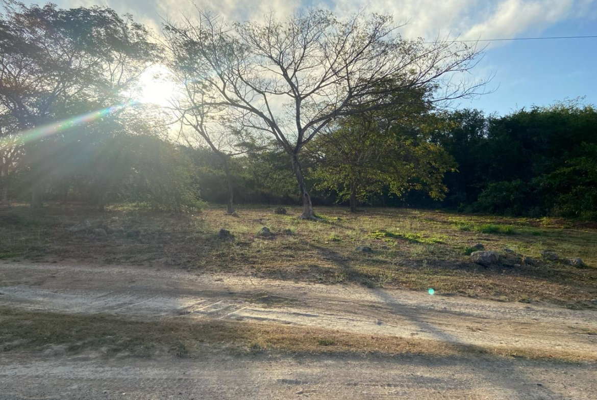 Fourth image of Lot 195 Keble Way in DUNCAN BAY, Trelawny, Jamaica - property is For Sale