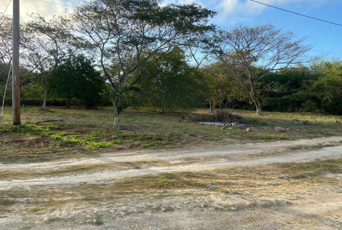 Fifth image of Lot 195 Keble Way in DUNCAN BAY, Trelawny, Jamaica - property is For Sale