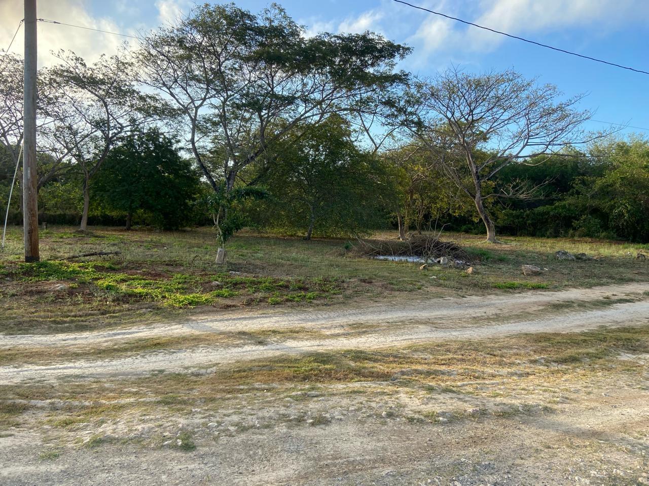Fifth image of Lot 195 Keble Way in DUNCAN BAY, Trelawny, Jamaica - property is For Sale