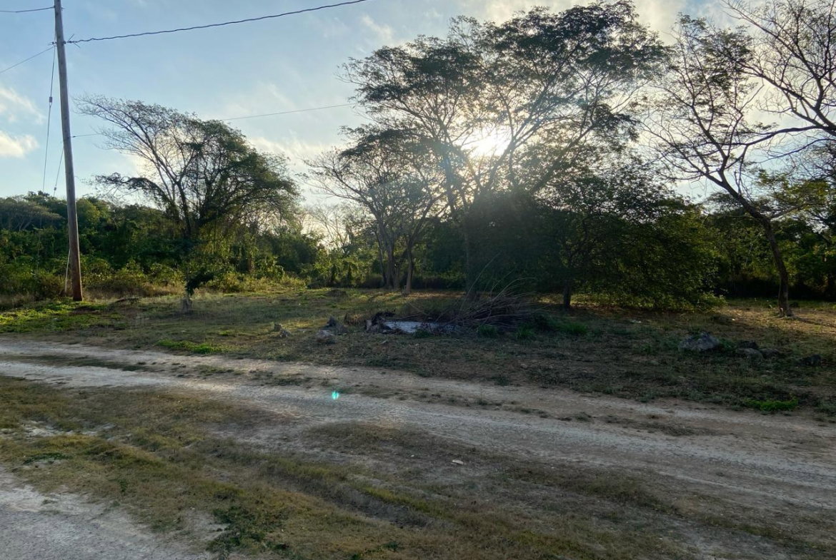 Sixth image of Lot 195 Keble Way in DUNCAN BAY, Trelawny, Jamaica - property is For Sale