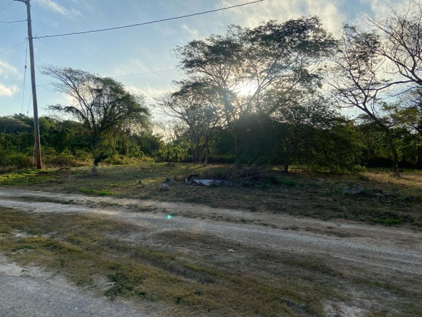 Sixth image of Lot 195 Keble Way in DUNCAN BAY, Trelawny, Jamaica - property is For Sale