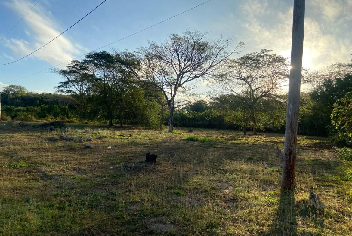 Seventh image of Lot 195 Keble Way in DUNCAN BAY, Trelawny, Jamaica - property is For Sale