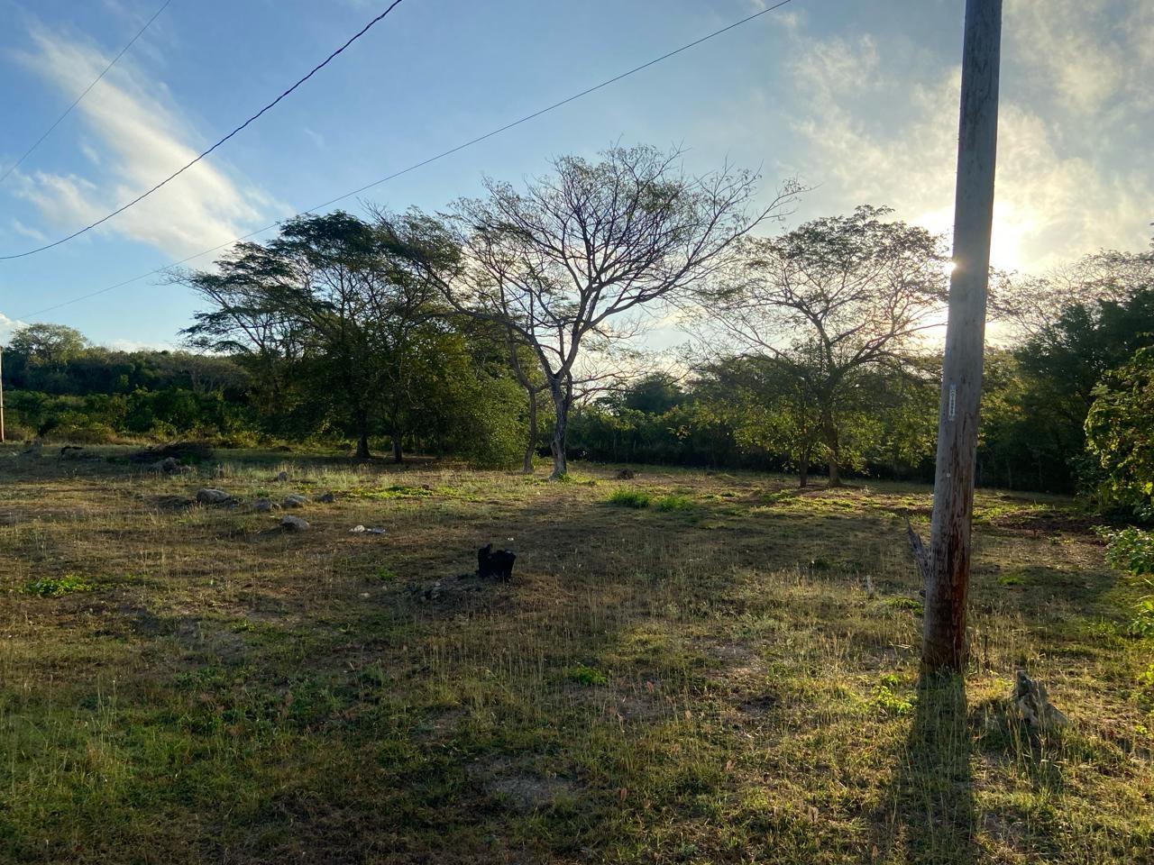 Seventh image of Lot 195 Keble Way in DUNCAN BAY, Trelawny, Jamaica - property is For Sale