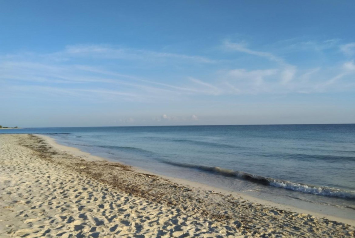 Tenth image of Lot 195 Keble Way in DUNCAN BAY, Trelawny, Jamaica - property is For Sale