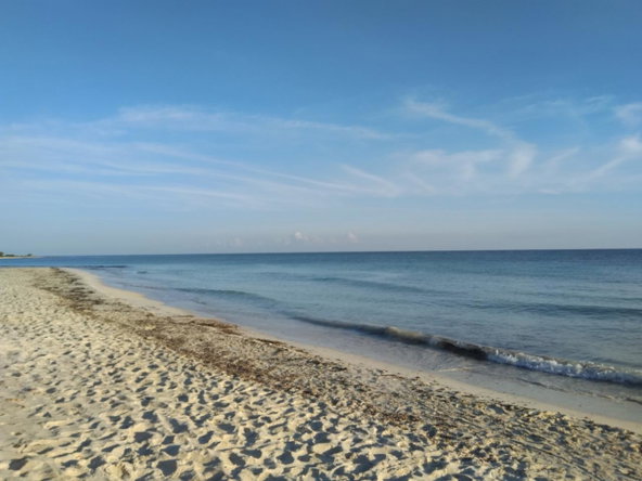 Tenth image of Lot 195 Keble Way in DUNCAN BAY, Trelawny, Jamaica - property is For Sale