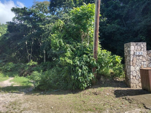 First image of Lot-124 Tripoli in Runaway Bay, St. Ann, Jamaica - property is For Sale
