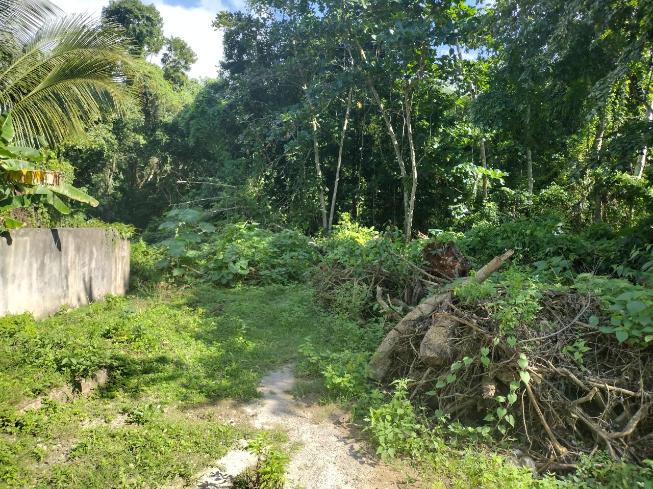 Third image of Lot-124 Tripoli in Runaway Bay, St. Ann, Jamaica - property is For Sale